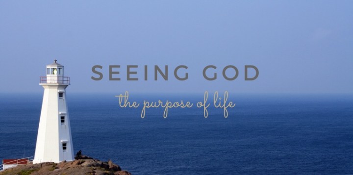 Seeing God: The Purpose of&nbsp;Life