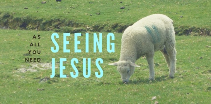 Seeing Jesus as All We&nbsp;Need