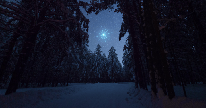 Silent Night (Advent: Day&nbsp;8)