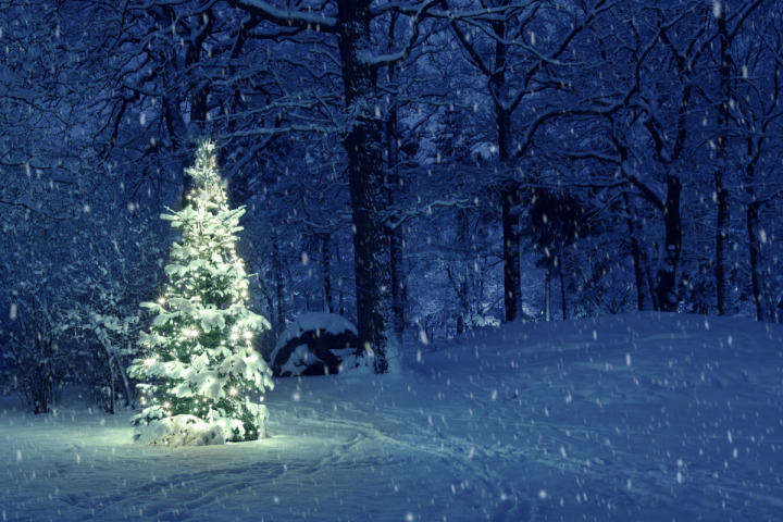 In the Bleak Midwinter (Advent: Day&nbsp;25)